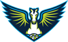 Dallas Wings