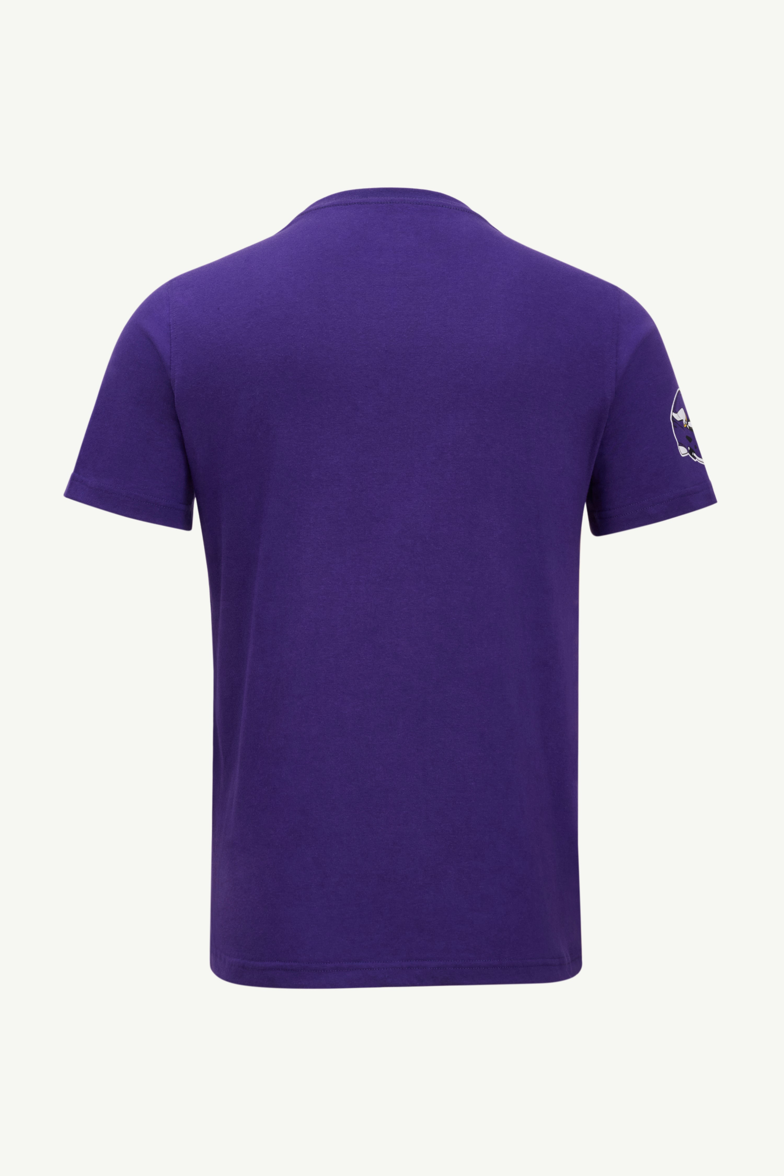 MENS MINNESOTA VIKINGS GRAPHIC T SHIRT View 2 | STARTER CLASSICS