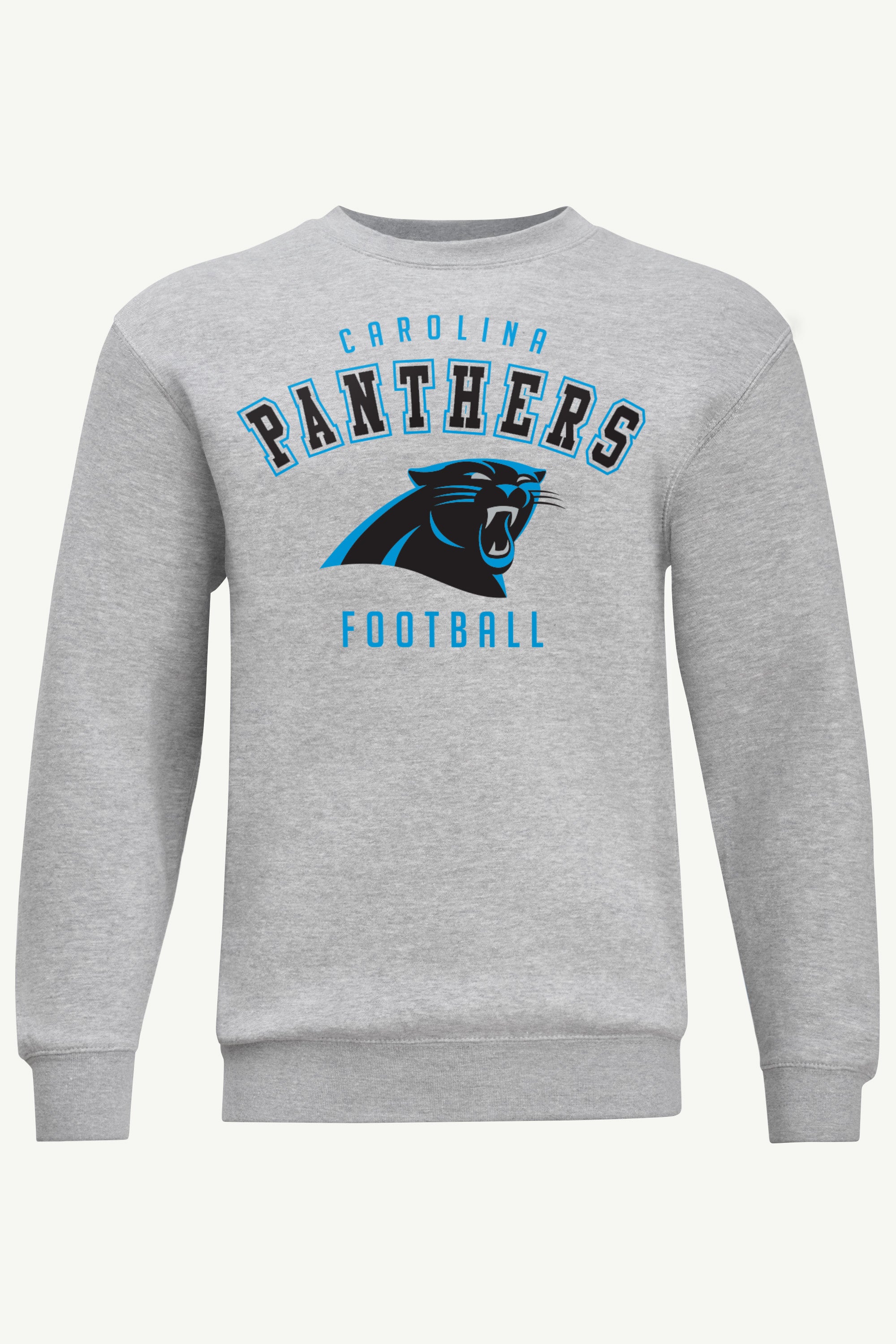 USA製　STARTER NFL PANTHERS スウェット　グレー　ラメ Mens Carolina Panthers Sweatshirt | NFL | Starter