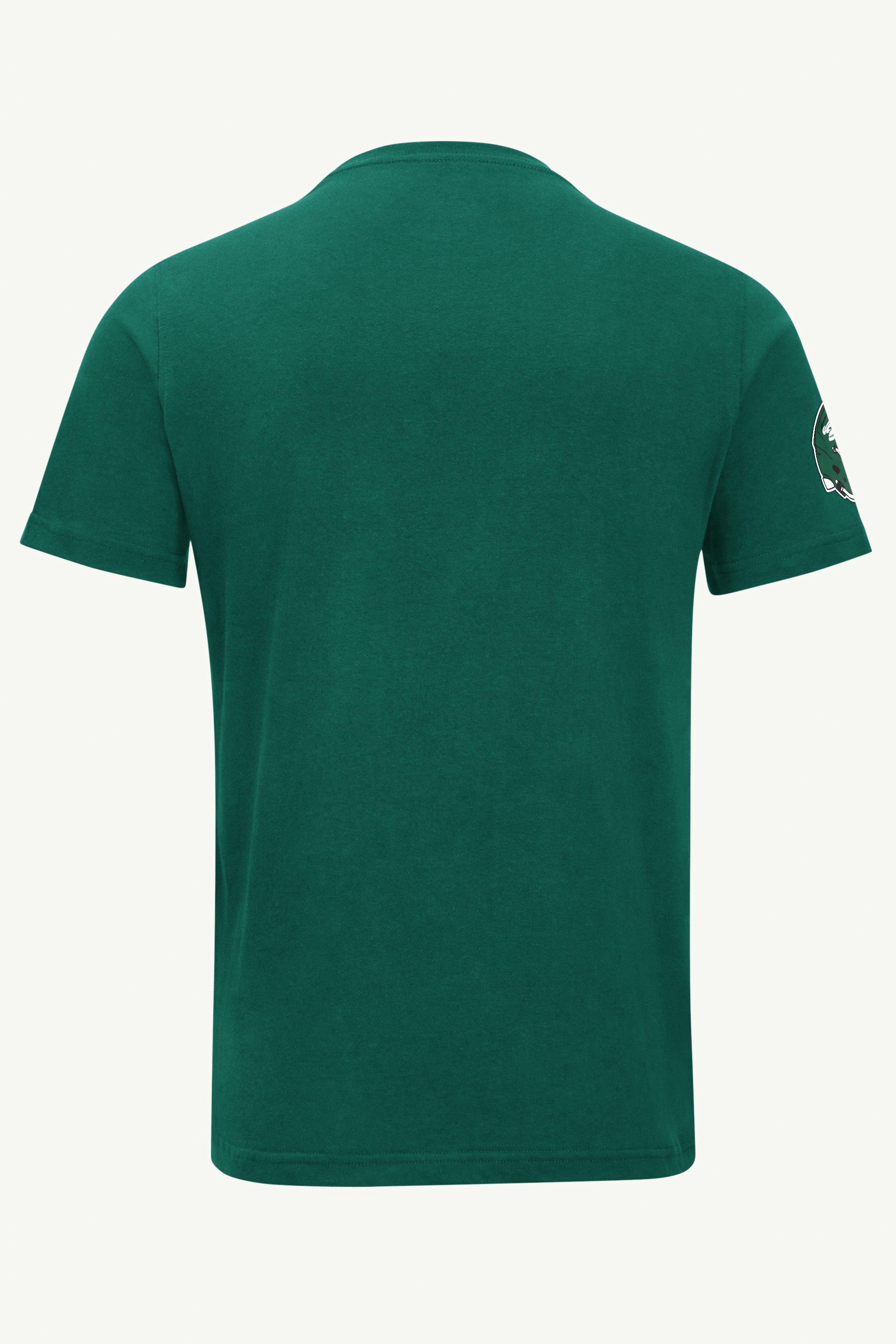 MENS NEW YORK JETS GRAPHIC T SHIRT View 3 | STARTER CLASSICS