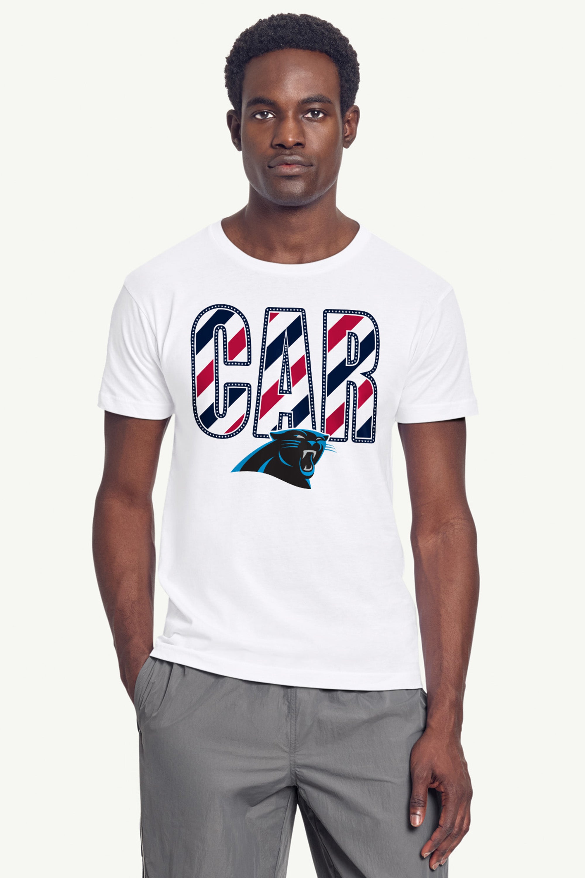 MENS CAROLINA PANTHERS STARS AND STRIPES T SHIRT View 4