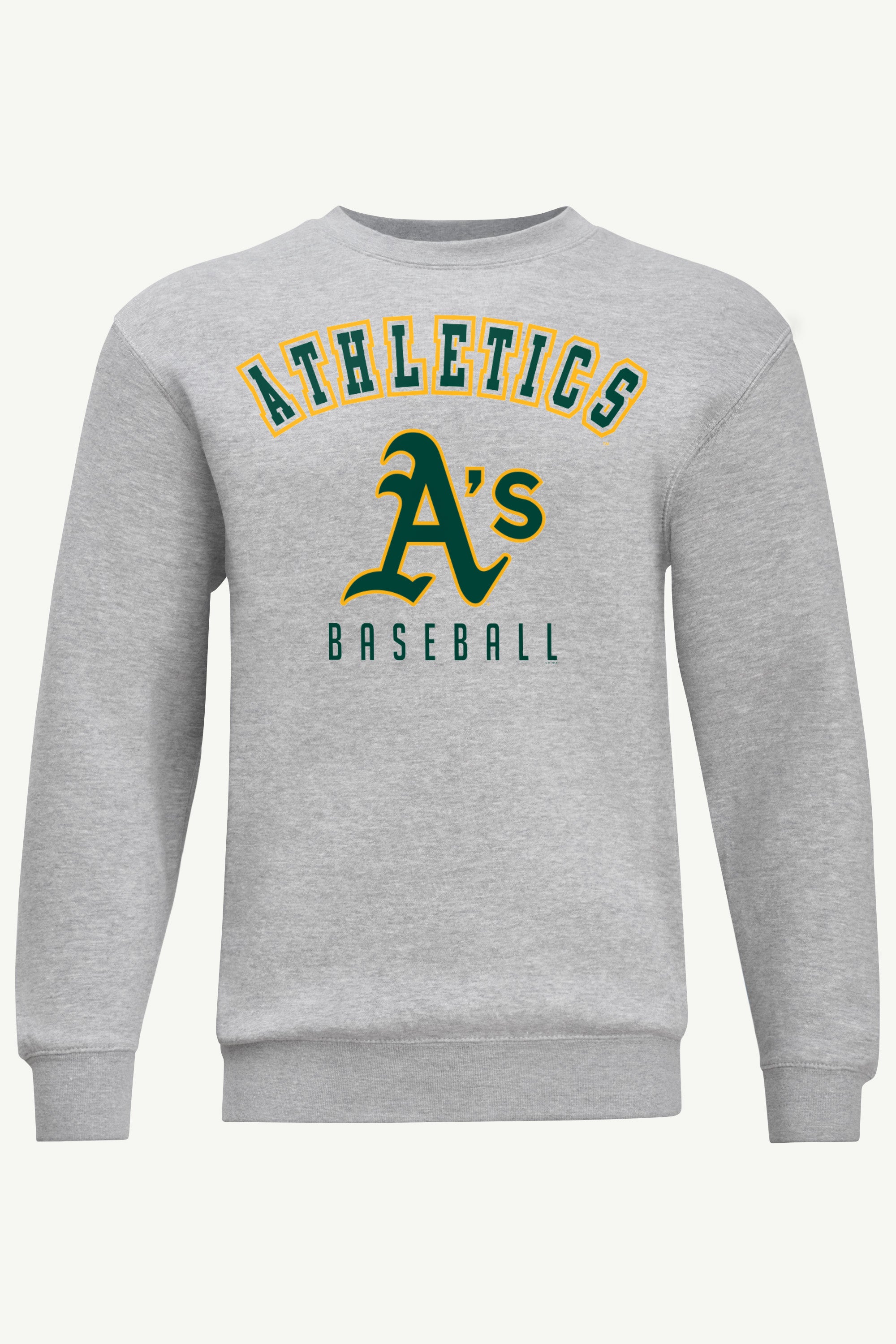MENS ATHLETICS GRAPHIC SWEATSHIRT View 1 | Athletics